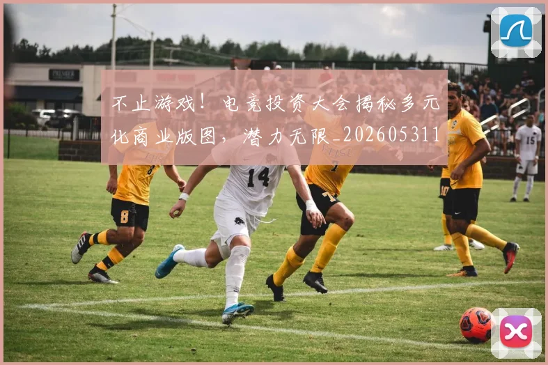 不止游戏!电竞投资大会揭秘多元化商业版图,潜力无限_20260531151350