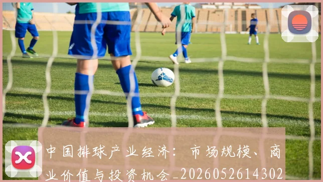 中国排球产业经济:市场规模、商业价值与投资机会_20260526143026